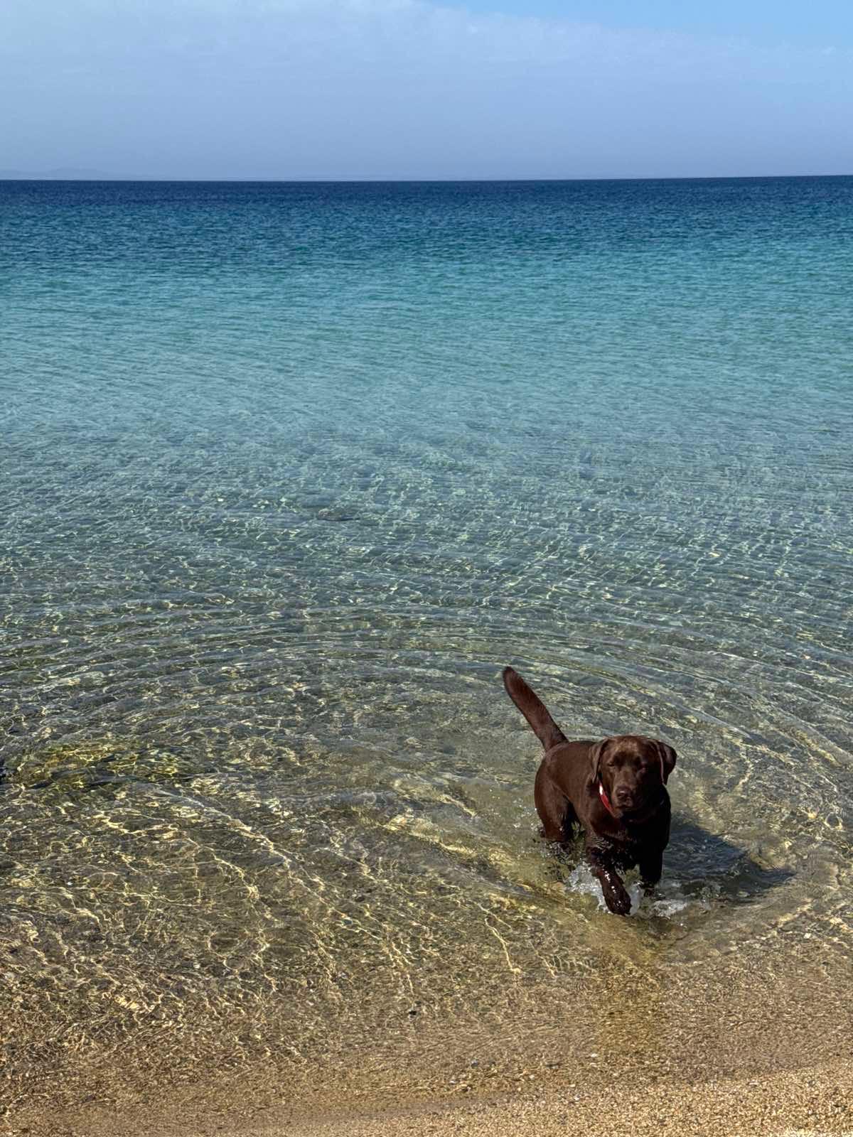 BBQ and outdoor dining at Andrijana Luxury Houses